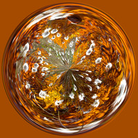 Autumn Mix I - Spherical