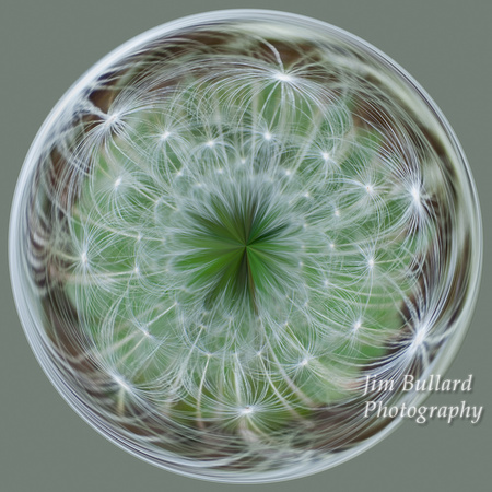 Dandelion (seed stage) Spherical