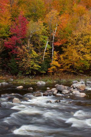 Along the Ausable I