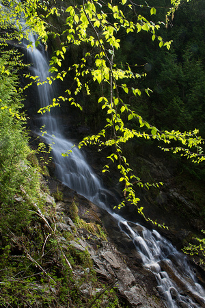 Waterfall, Cascade Mt.