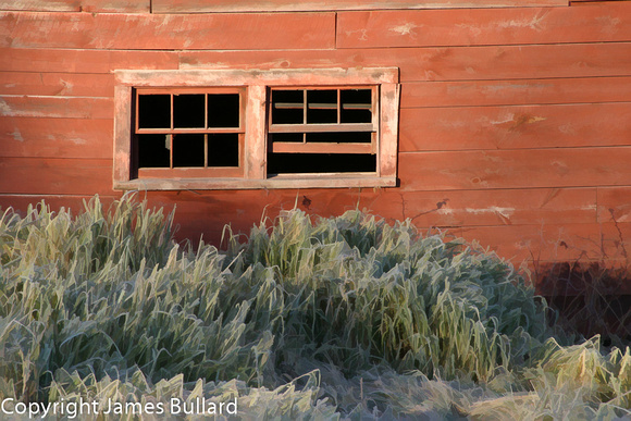Frosted Grass and Barn