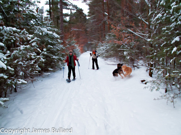 Snowshoers, Southville State Forest