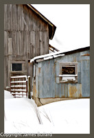 Barns in Snow