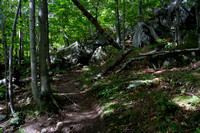 Scene along the trail