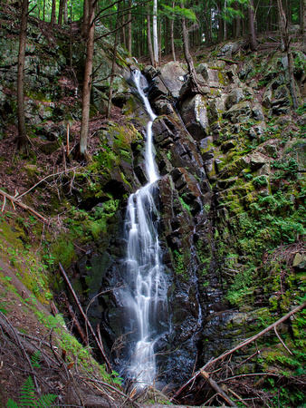 Mossy Cascade Waterfall