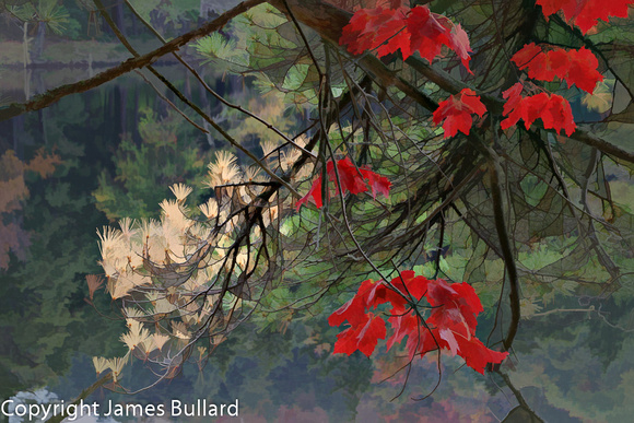 Autumn Branches, Mountain Pond