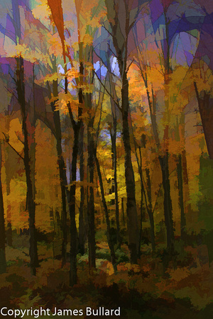 Autumn Trees, Paul Smiths