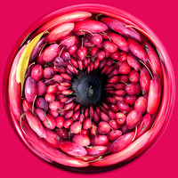 Crabapples - Spherical I